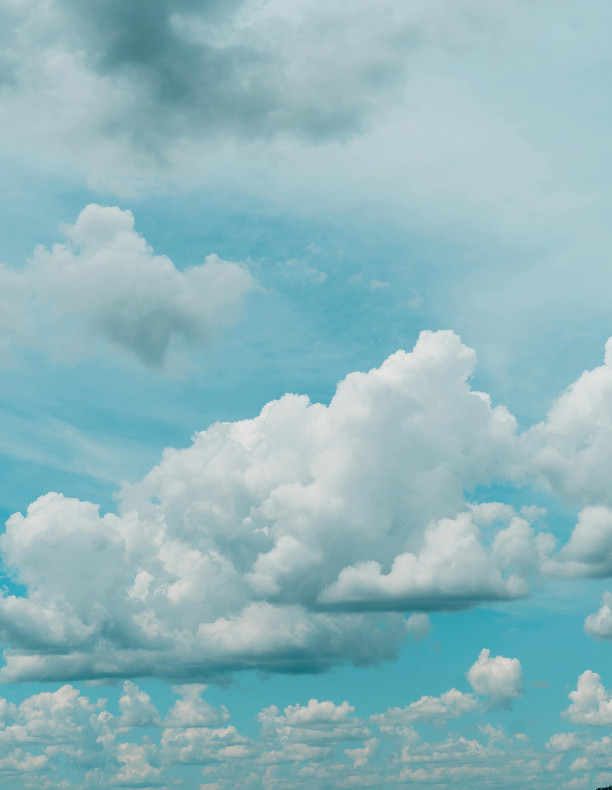 Climate Change and Its Impact on Global Ecosystems