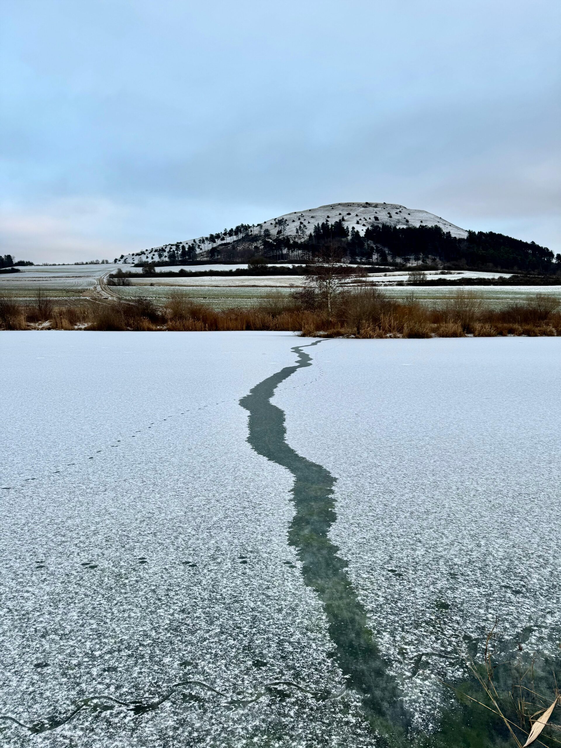 Role of Satellites in Climate Monitoring